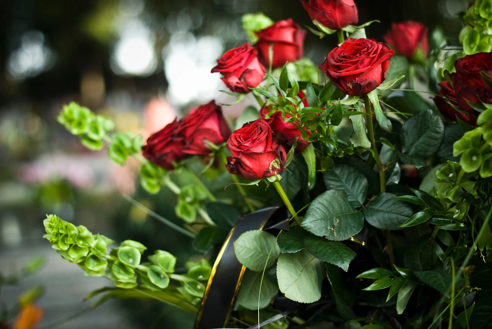 Trandafiri rosii pentru ceremonie funerara